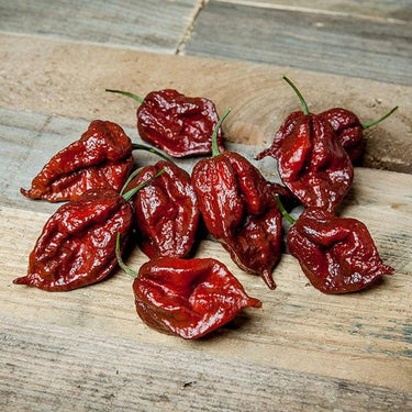 Kraken Scorpion Pepper Seeds - The Pepper Pantry (Formerly Marie Sharp's)